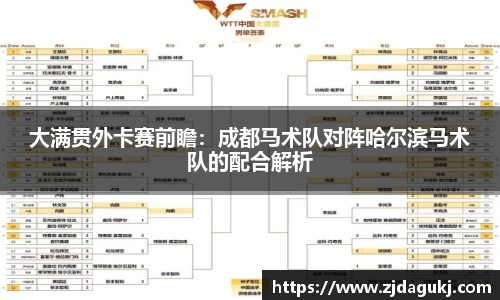 VSport官网入口vsport体育在线官网