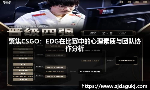 VSport官网入口vsport体育在线官网