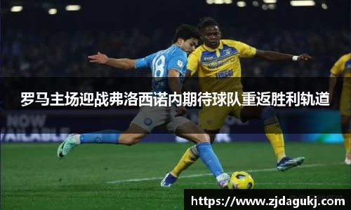 VSport官网入口vsport体育在线官网